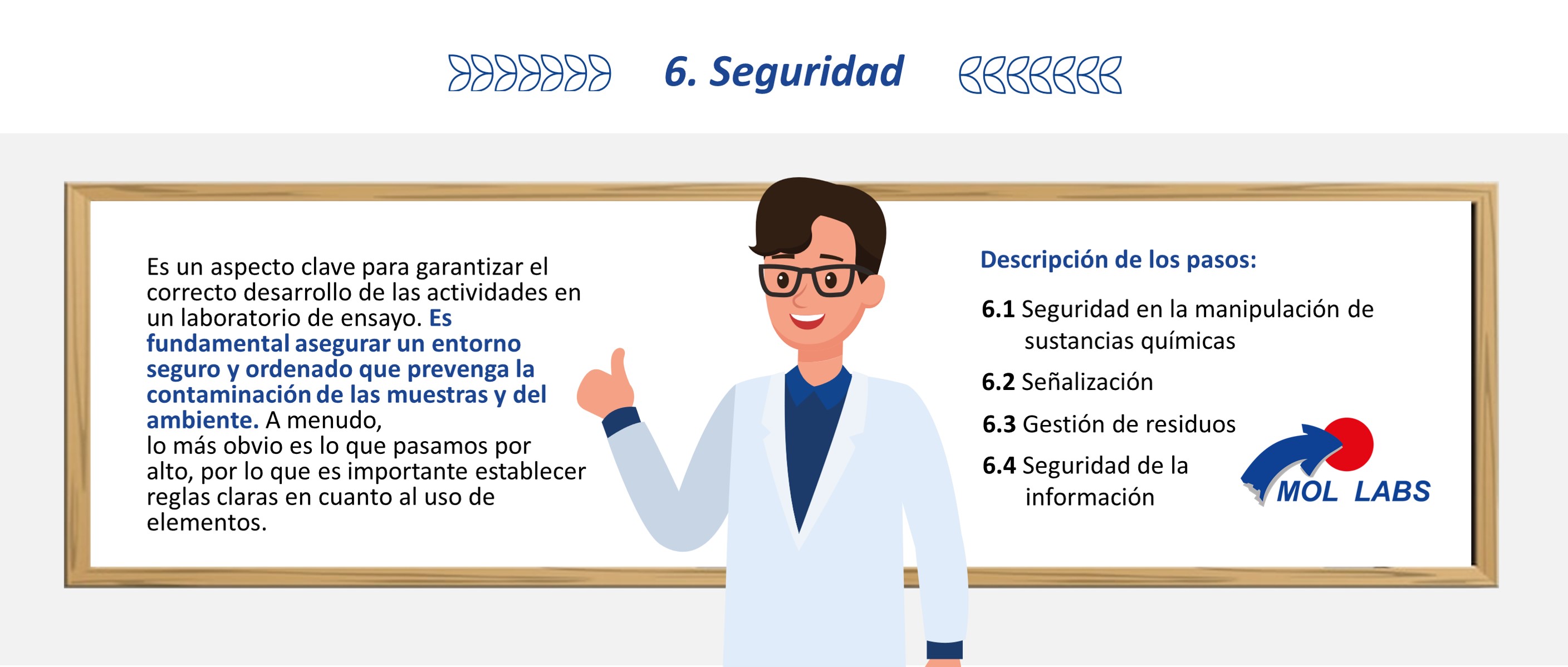 Imagen Nuevos productos 1