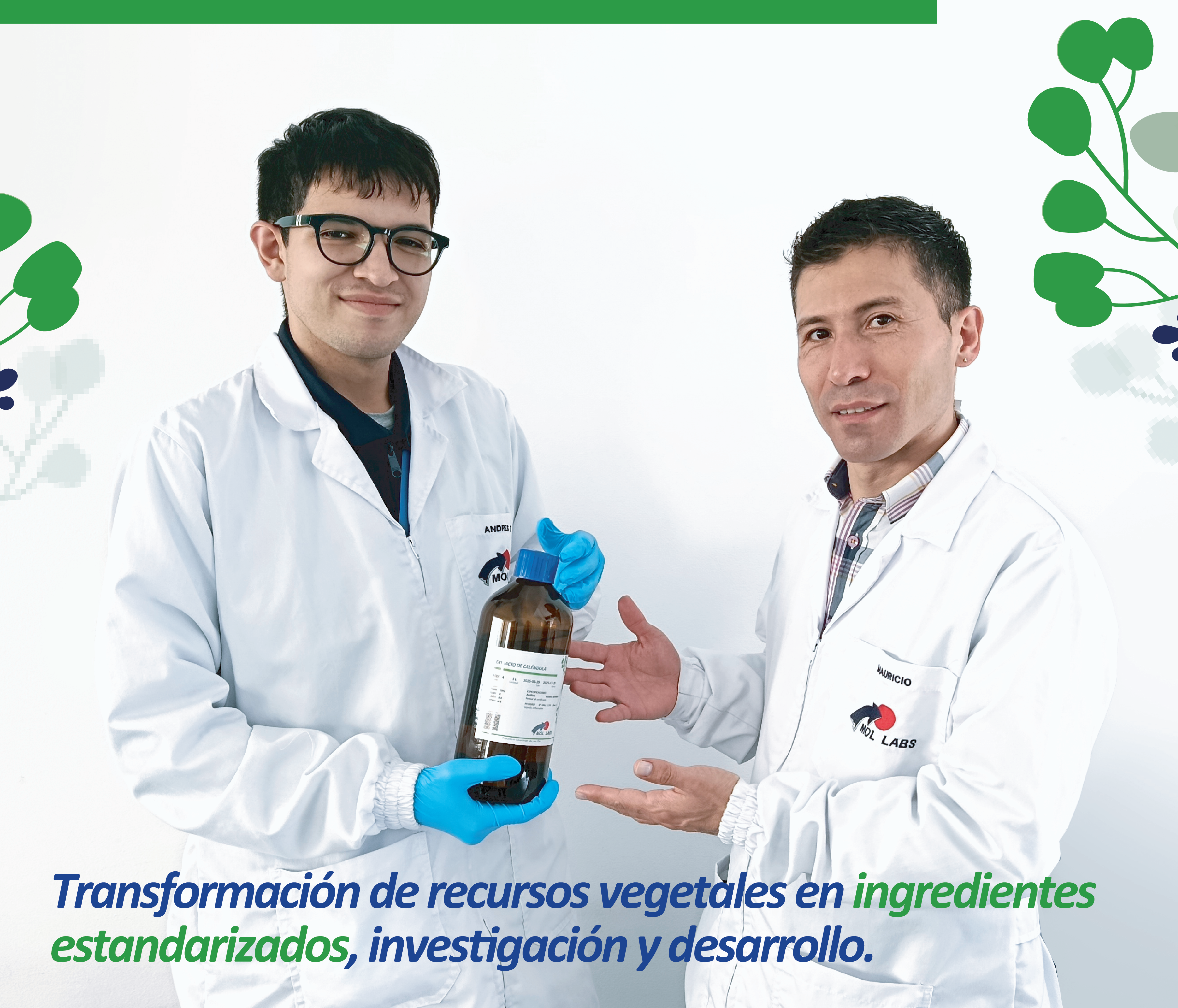 Imagen Bloque
