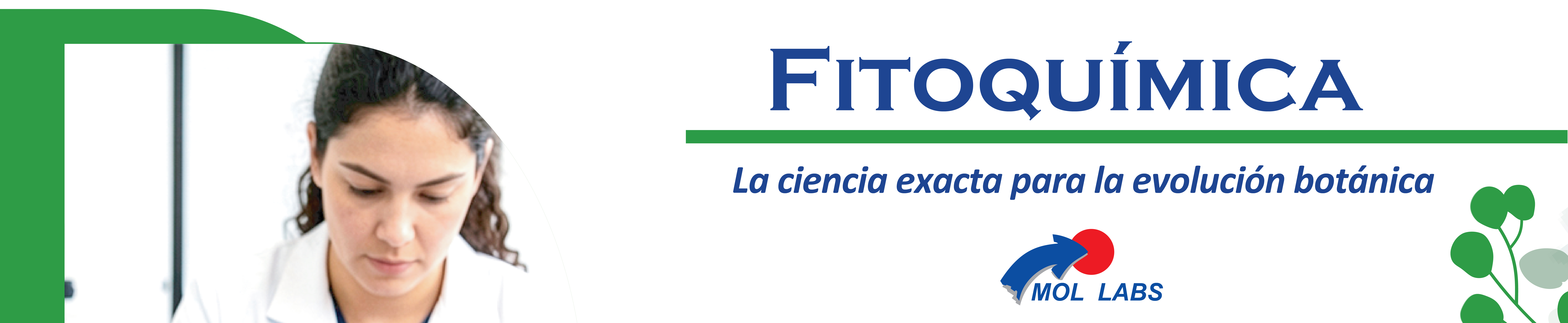 imagen intro